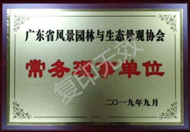 协会会员证书
