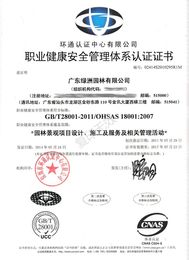 职业健康安全管理体系认证证书