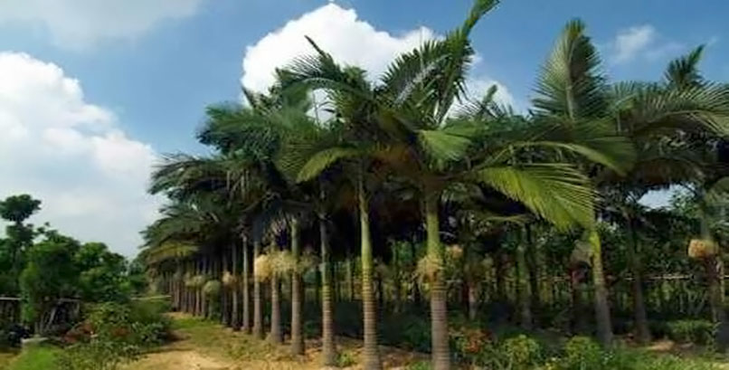 20110917164709123.jpg